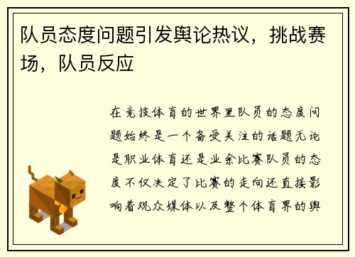 队员态度问题引发舆论热议，挑战赛场，队员反应